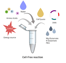 Cell free reaction