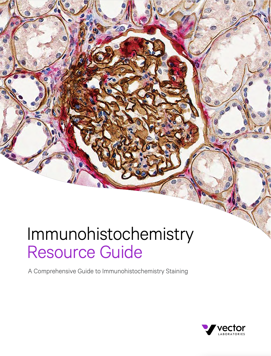 Vector: Immunohistochemistry Guide